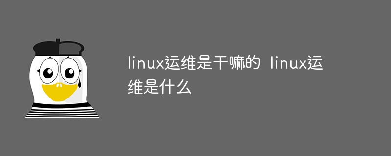 linux运维是干嘛的  linux运维是什么(linux,运维是....)