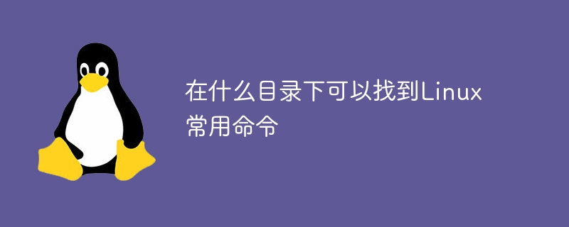 在什么目录下可以找到Linux常用命令(可以找到,常用命令,目录下,Linux....)