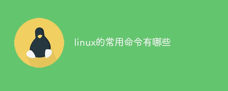 linux的常用命令有哪些(常用命令,有哪些,linux....)