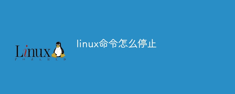 linux命令怎么停止(命令,停止,linux....)