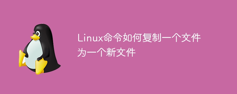 linux命令怎么记得住(命令,记得,linux....)