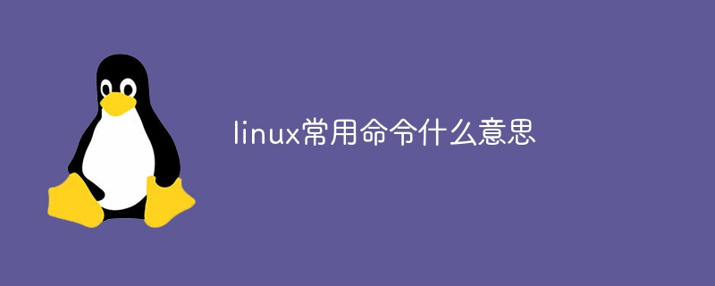 linux常用命令什么意思