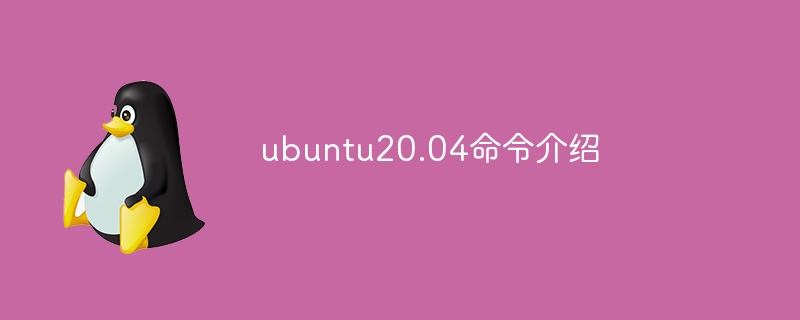 ubuntu20.04命令介绍(命令,介绍,ubuntu20....)