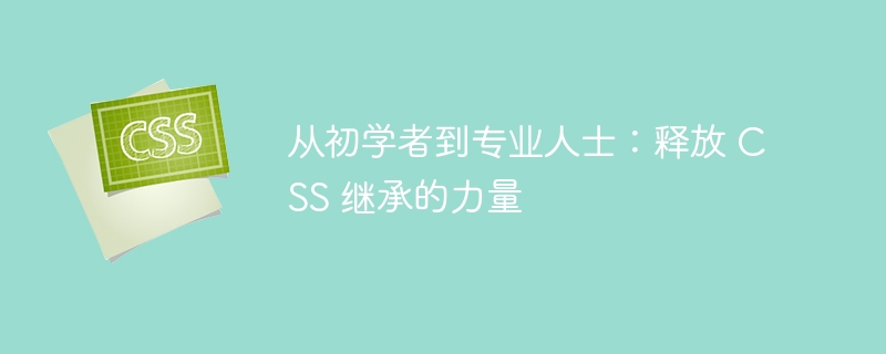 从初学者到专业人士：释放 CSS 继承的力量