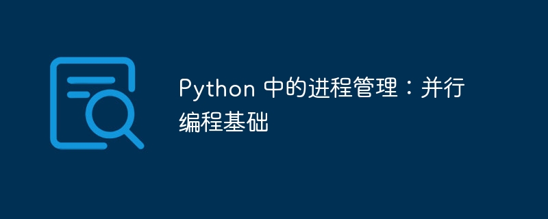 python 中的进程管理：并行编程基础