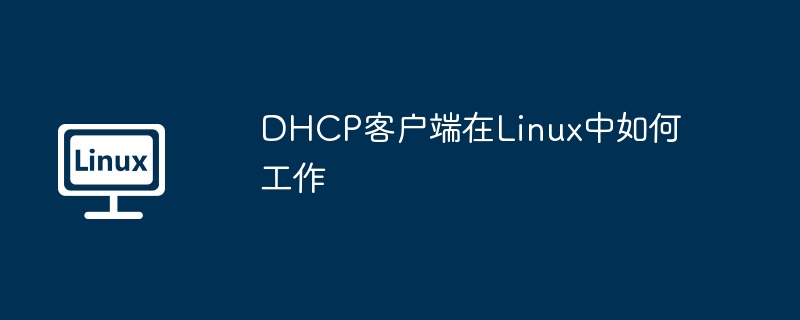 dhcp客户端在linux中如何工作