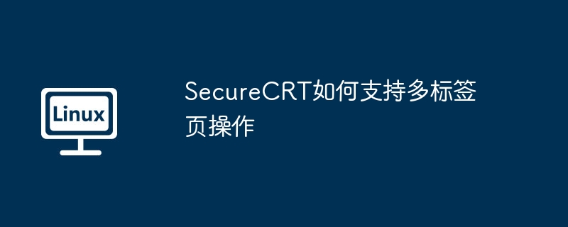 securecrt如何支持多标签页操作