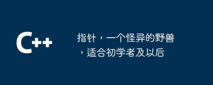 指针，一个怪异的野兽，适合初学者及以后